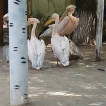 image-0-02-05-090ac31d4574de16776d4d6ca87827794a7f1c87b9ef3444530c75991d0b39a9-v