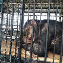 image-0-02-05-0b1d6e336c75b43273bffabd62cffd6129124140f8c5186b35bf7ea4f3b248be-v