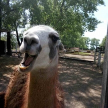 image-0-02-05-0e91da0b2fc623b4648c51f3c8cc13d20f86bba9890aa7cada0fa55cdf80b43e-v