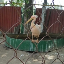 image-0-02-05-4e8270c736061ad602c649c868f3b438320e25ba02b534c1e05f7bf511027c51-v