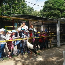 image-0-02-05-6952a3b62a1e40ba5bf7a4da7da870d988b1aa3f31aaea6359c70efb0e870c93-v