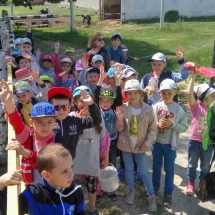 image-0-02-05-735bda398eea25ba2020c7252db3d18d37c97abd52c25bbec065faa0e85be847-v