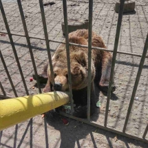 image-0-02-05-7c652308127a15dd3c4d140373fb113b82e27e31e02e639a91c1cd1b396e9b33-v