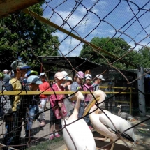 image-0-02-05-b0378bfdd81fbaf907a87dfeed2ea230c9177d341ce86b3ec6a2d871e5120226-v